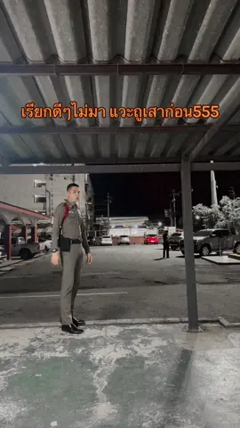 เดินมาหาเลยไม่ได้ต้องแวะถูเสาก่อน🤣🤣 #จ่าเจี๊ยบบางปู #สูง190 #แมวส้มจอมซน #ขี้อ้อนเก่งงงง #แมวเหงา 