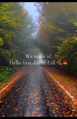 #octobermood #rainyweather #autumn #iamanautumn #fallgirlies 