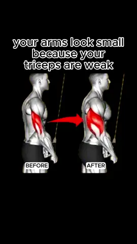 Triceps make up 2/3 of your arm size- train them if you want bigger arms, not just biceps 💪  #Hustle4muscle #fyp #TricepsWorkout #PushDay #StrengthGoals 