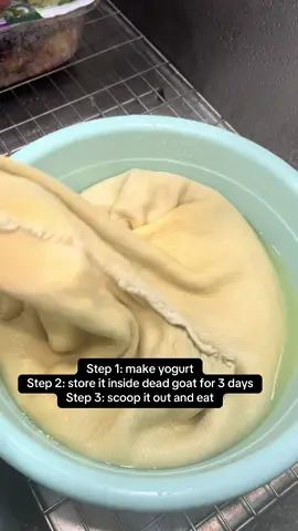 Final product reveal. This is a very traditional Persian yogurt called maaste poost, literally translates to “yogurt of the skin”. These methods contributed to the original discovery of yogurt but this produces a very sour probiotic-packed yogurt