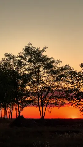 #мояукраїна🇺🇦💙💛 