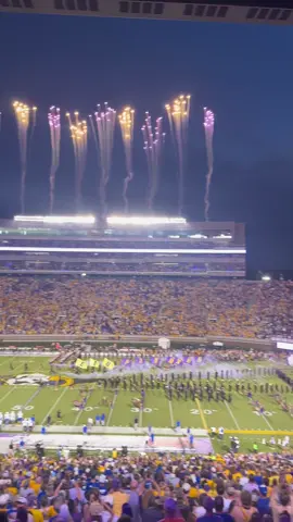 Loyal & Bold, Purple & Gold! We are the PIRATES of ECU HEY! ☠️🎆🏈✈️🏴‍☠️💜💛#ECU #football #CollegeFootball #eastcarolina #eastcarolinauniversity #dowdyficklen #rowdyindowdy #byu #fireworks #flyover #usa #america #footballszn #entrance #piratefootball💜💛☠️🏈 #pirates #arrrrgh #tiktok #trending #fypシ #fyp #foryoupage #fy #4u #greenvillenc #easternnc #nccheck 