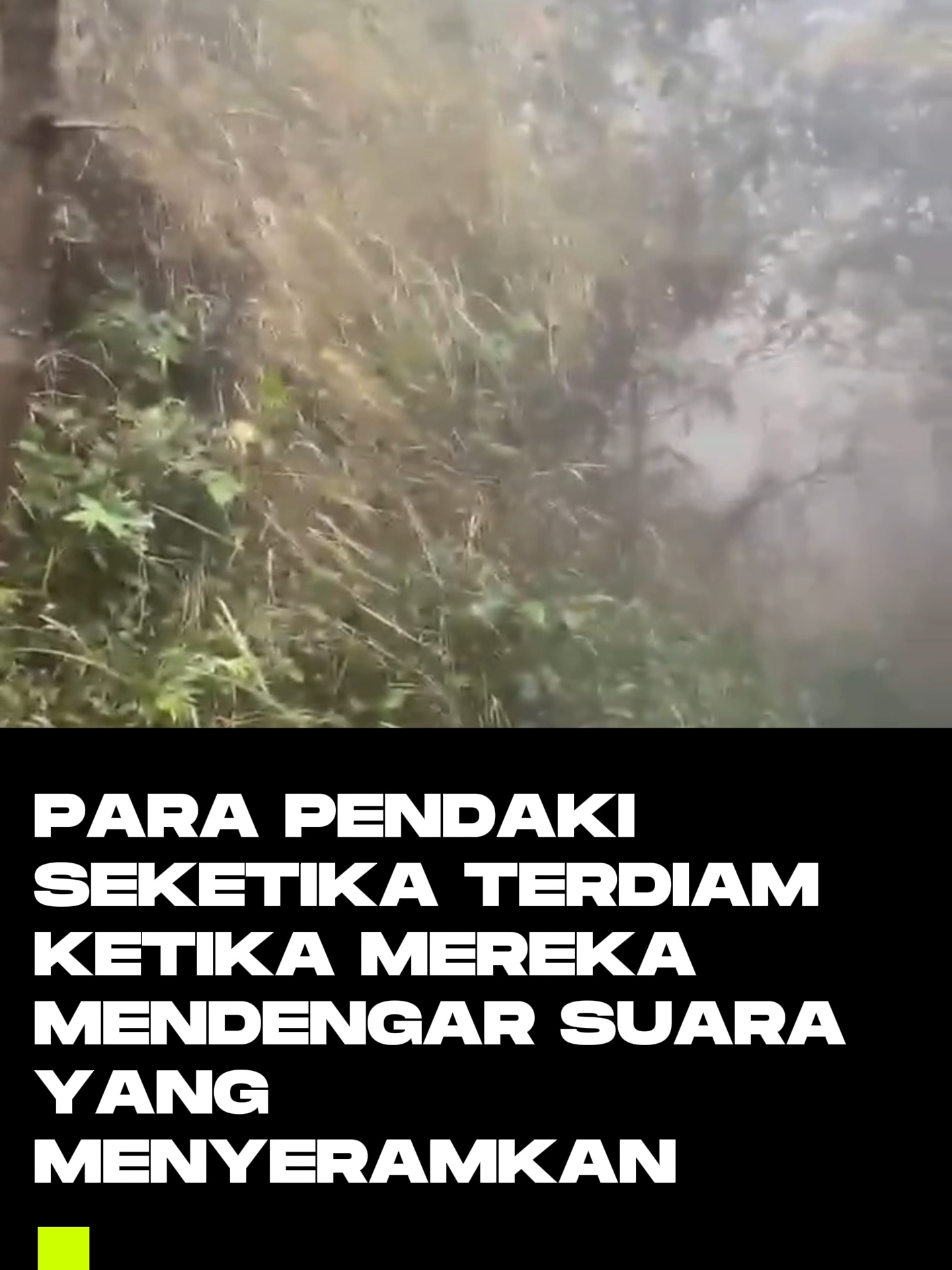 Kira-kira itu suara apa ya rek? #mendaki#pendakigunung