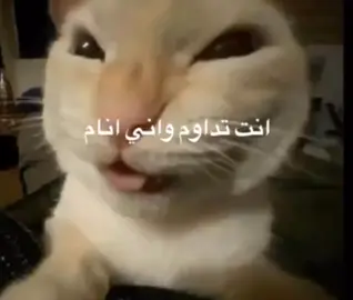 انتو اداومون واني انام/ #pyfツ #مالي_خلق_احط_هاشتاقات🧢 