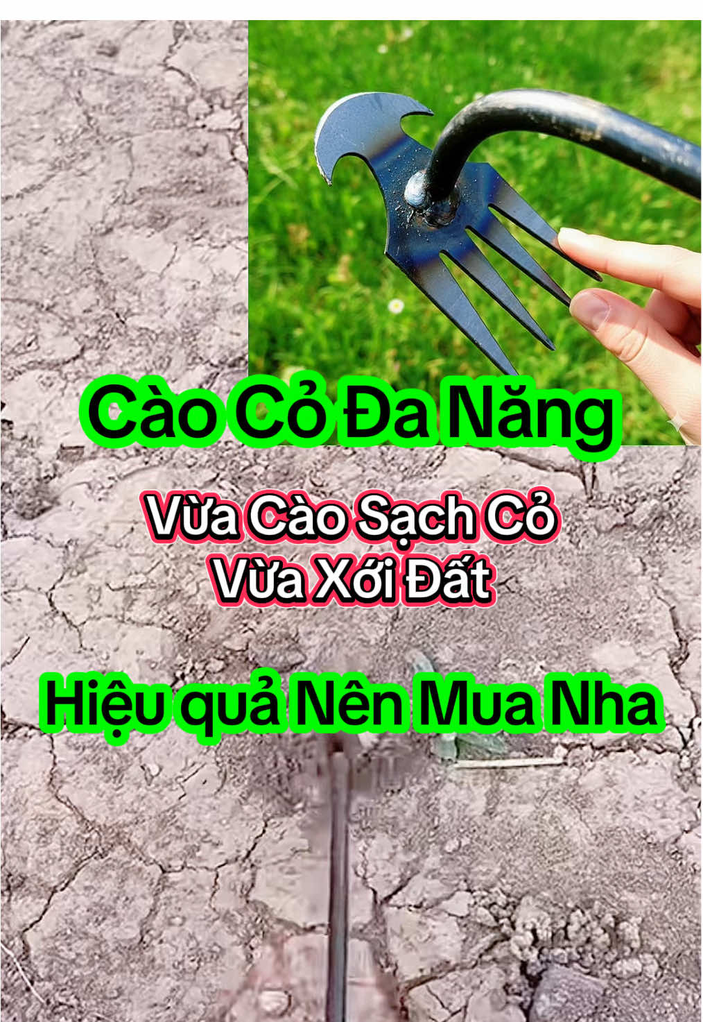 Cào Cỏ Đa Năng vừa cào cỏ vừa sới đất tơi xốp giúp anh em làm sạch vườn cỏ dễ dàng nhanh chóng#caolamcovuon #lamcovuon #caolamcodanang 