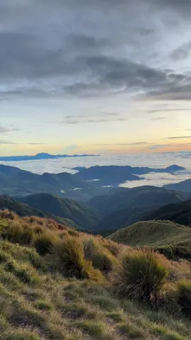 The Playground of the Gods #MtPulagSeason #benguettiktok #MtPulag #Hiking #fyp 