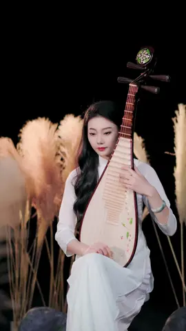 江湖路漫漫#琵琶  #国风古韵 #长月烬明 #民族乐器 #乐器演奏 