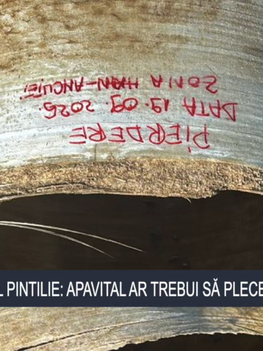 ȘTIRILE BIT TV - PRIMARUL PINTILIE- APAVITAL AR TREBUI SĂ PLECE SAU SĂ PLĂTEASCĂ  #urmaritori