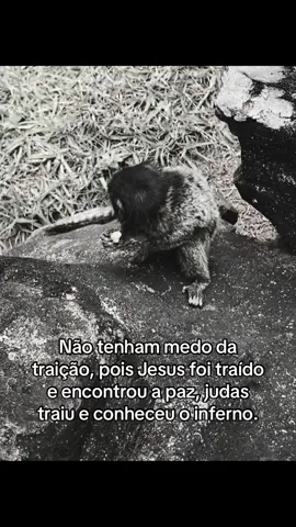 #traiçao #judas #jesus #paz 🧏🏽‍♂️