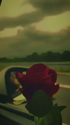 کاش ہم بھی کسی حدسے میں مر جائیں #fyp #ksa🇸🇦 #aethetic #peorty #pardasiwrites0 