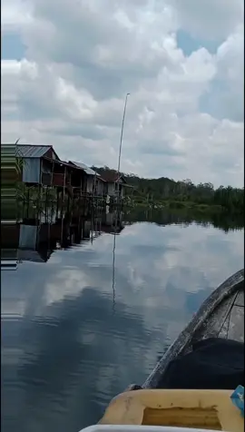 #Pelalawan #fyppppppppppppppppppppppp 