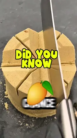 Did You Know 🤔  #facts ##LearnOnTikTok #funnytiktok #dumbfacts #dumbfacts 