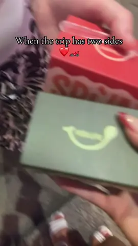 When to Italy for the views and cars!! 🏎️ #trendingaudio #formula1tiktok #formula1 #monzagp #viral 