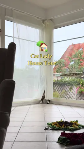 barbie dream house #catsoftiktok 