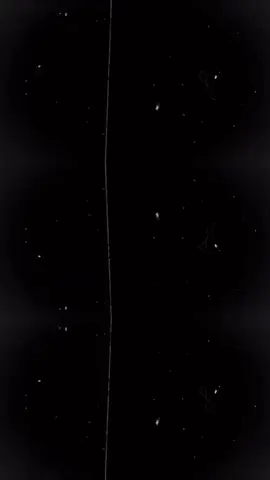 #fyp #السماوه_مدينتي🇮🇶❤️ #مــحـمـد🤍🎭 @حمـوشـي.  313  @ابن حمدان 🦅 @بّـآقَر☘️💫 