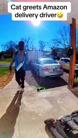 The cat and the delivery driver #foryou #cute #catlover #funny #funnymoments 