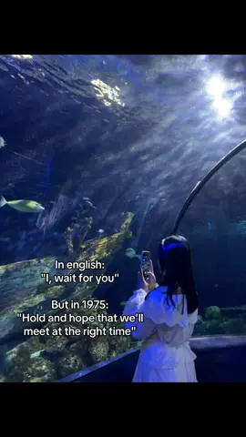Do u think I have forgotten #aboutyou #4u #waiting 