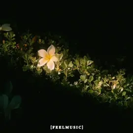 ပန်းချစ်သူ // ခင်မောင်တိုး & မီမီဝင်းဖေ #ပန်းချစ်သူ #ခင်မောင်တိုး #မီမီဝင်းဖေ  #foryou #feelmusic 