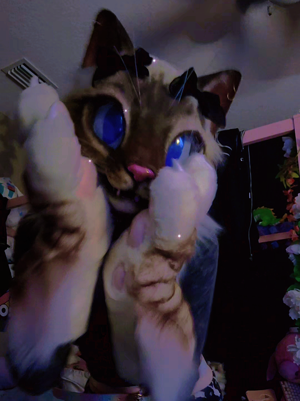 draft posting cause I need more storage😝 #dojacat #milkshake #catfurry #fursuit #cutefursuit 