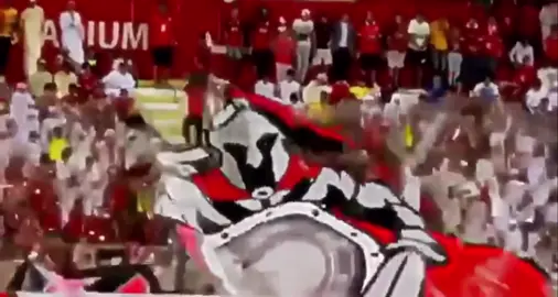 كُـل الطـرق تؤدي الـى مقبـره الاهـلي 