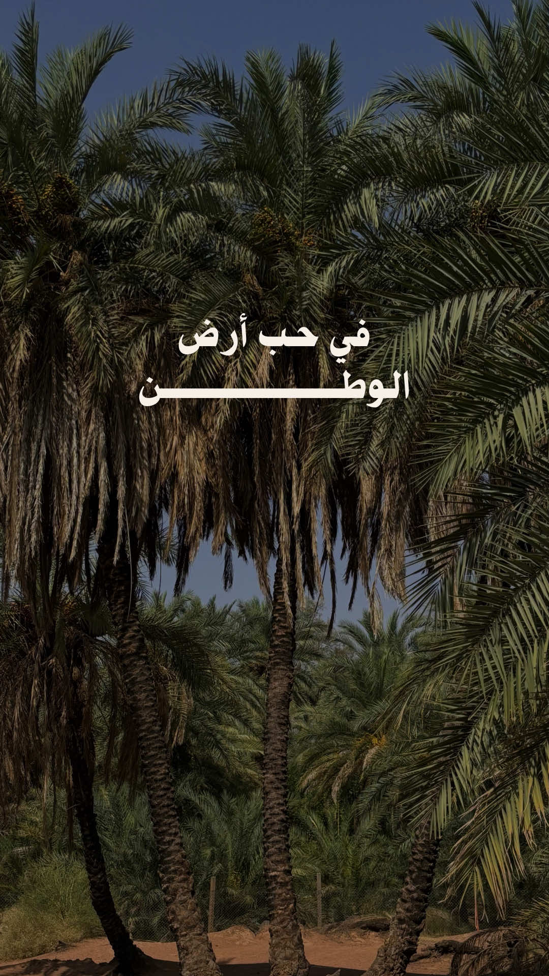 • حُب الوطن تعجز عن وصفه الحروف 🇸🇦#عزنا_بطبعنا 
️ 
️ 
️ 
️
️ 
️ 
️ 
️
️ #SaudiNationalDay_95 #حائل_المجد #saudinationalday95 #fyp 