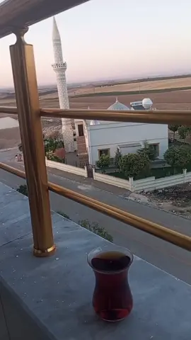 #kesfet #oneal #kesfeteyiz #çinar 