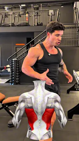 🔴 A dorsal é um dos músculos mais estéticos do corpo, mas muita gente tem dificuldade em sentir as costas trabalhando no treino. 🤔 O que acontece? O bíceps e o antebraço acabam fadigando antes, e a dorsal não recebe o estímulo que deveria. 💡 Uma solução simples é começar o treino com pulldown com corda e banco. Quando você usa o banco, o cotovelo e o braço ficam próximos ao corpo, isolando a extensão do ombro – que é justamente a função principal da dorsal. Ao fazer esse exercício no início do treino, você pré-ativa as costas e garante que, nas remadas e puxadas seguintes, a dorsal trabalhe muito mais. Isso acontece porque não há flexão de cotovelo no pulldown, então bíceps e tríceps não atrapalham a ativação. 📈 Resultado: mais recrutamento, melhor conexão mente-músculo e um treino de costas muito mais eficiente. 🚀 Quer que eu monte um treino completo de costas (e de todos os outros músculos) para você evoluir de verdade? Clique no link da minha bio – as vagas da minha consultoria de treino e dieta estão abertas! 🔗💪 . #musculação #treino #hipertrofia #dicasdetreino 