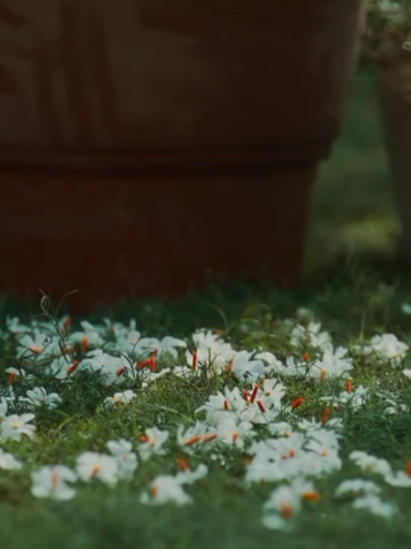 Amra Hoyto - Ahmed Hasan Sunny #bangla_band_music_fans 