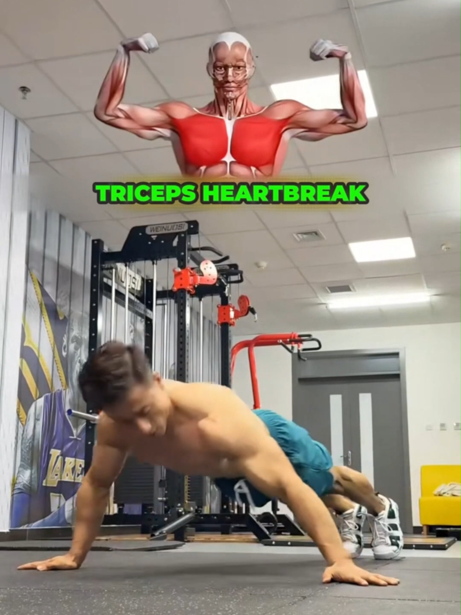 How to increase pushups ,how many pushups can you do as a beginner,  100 pushups, #pushups #pushupschallenge #kneepushups #workoutsweat