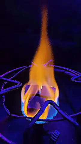 Shesha lovers kidar gaib hain #sheshaloverz #foryou #rahatansari219 #king🔥219🔥 