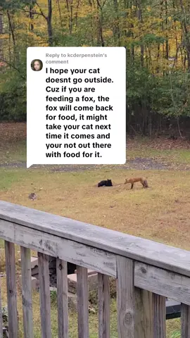 Replying to @kcderpenstein 