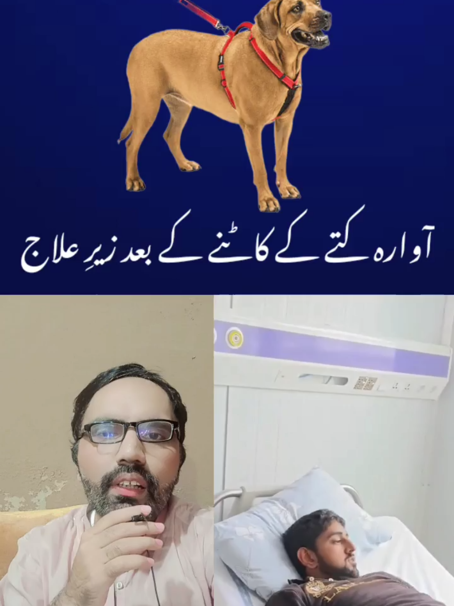 **Title:** Flood Relief Worker Bitten by Stray Dog, Hospitalized in Lahore **Description:** A dedicated flood relief worker, Malik Muhammad Hamid Ismail, who was actively providing food and aid to flood victims, has been hospitalized after being bitten by a stray (rabid) dog in Lahore. Despite receiving an immediate anti-rabies vaccine, he has started showing symptoms of the virus, and his condition is now critical. Doctors at a Lahore hospital are making efforts to treat him, while his family and colleagues appeal for prayers for his recovery so he can resume his humanitarian mission. **Hashtags:** #FloodRelief #Lahore #StrayDogBite #Rabies #HealthEmergency #PrayForRecovery #HumanitarianWorker #PakistanNews #foryoupage #foryou **Keywords:** Flood relief worker, stray dog bite, rabies, Lahore hospital, critical condition, Malik Muhammad Hamid Ismail, anti-rabies vaccine, health emergency, humanitarian mission.