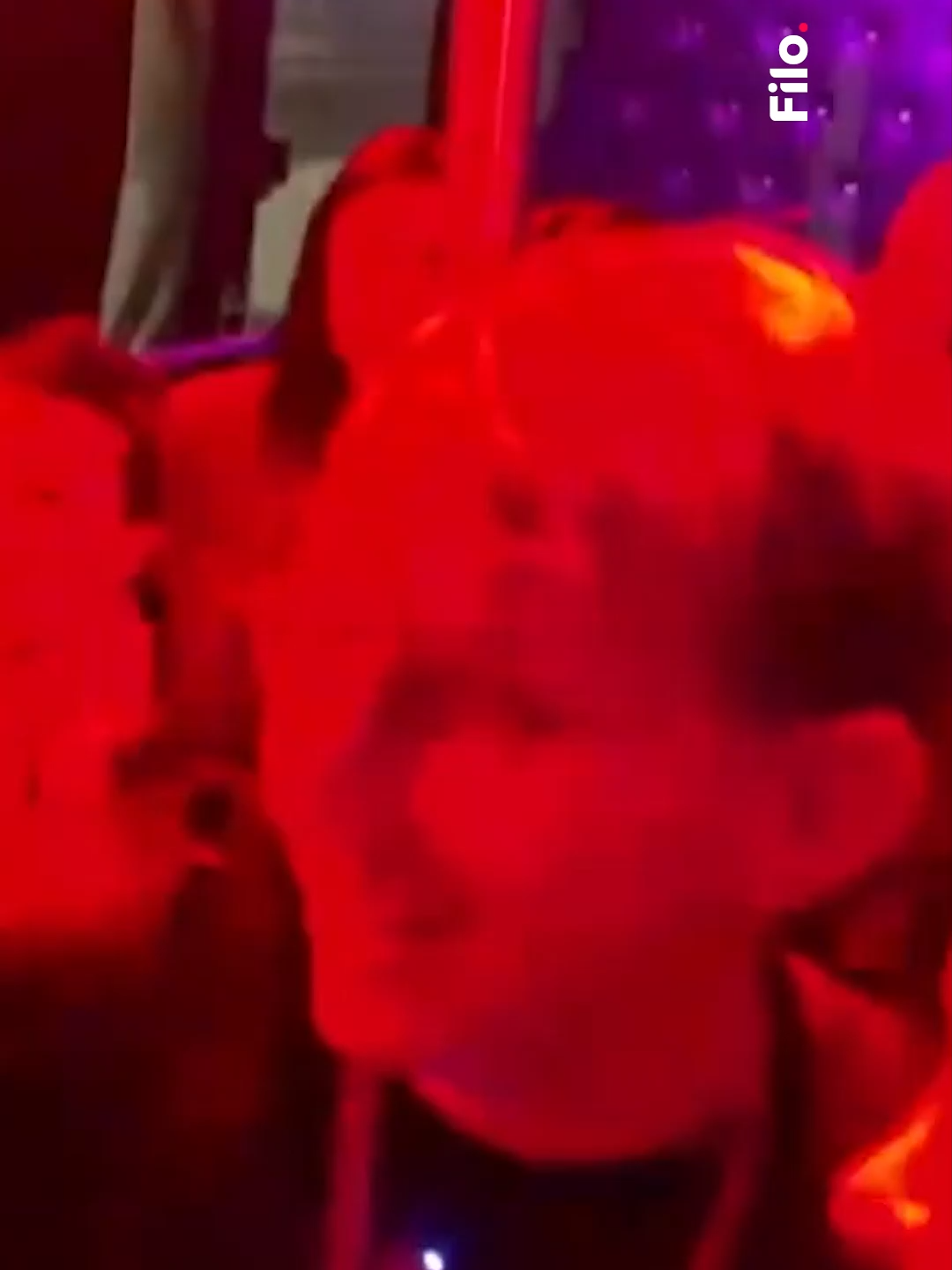 🔴 Brunenger chocó en la Autopista Panamericana 👉 El accidente ocurrió a la altura de la calle Paraná, en sentido norte. 📌 Se registraron dos heridos y el streamer tuvo que ser hospitalizado. ◾️El choque fue entre la Jeep Grand Cherokee SRT, donde estaba Brunenger, y un Renault Mégane negro. ⭕️ Por el impacto, tuvieron que intervenir equipos de rescate, ya que una persona quedó atrapada dentro del vehículo. 🗯 