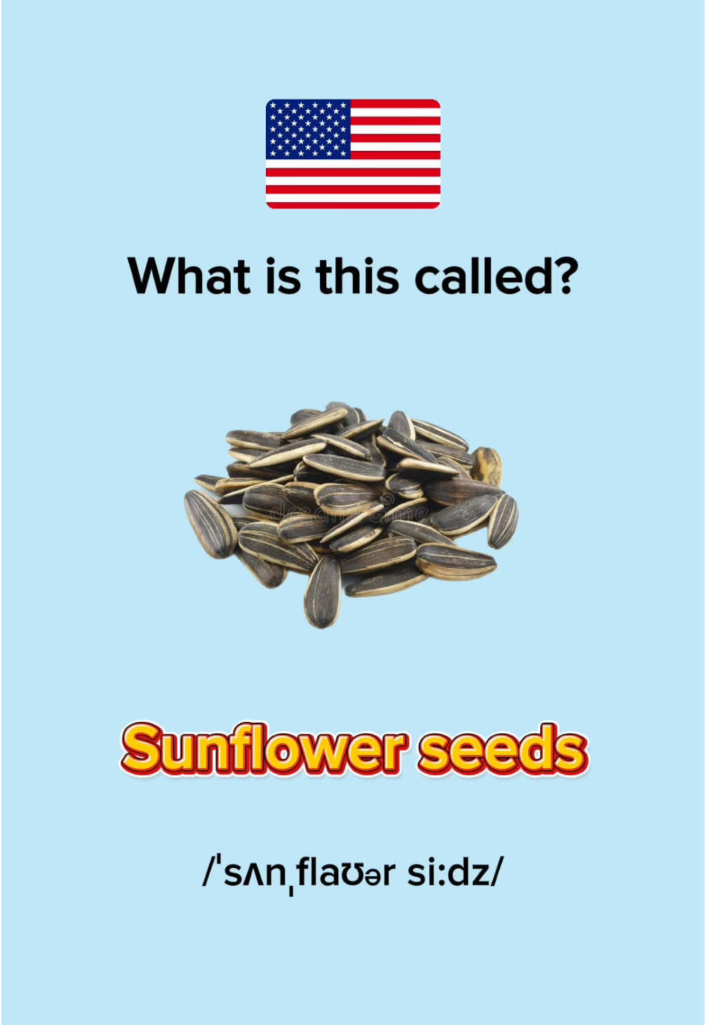 Nuts and Seeds in English #LearnEnglish #EnglishPractice #EnglishVocabulary #EnglishTok #EduTok 