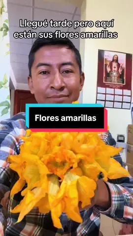 Aquí están sus flores amarillas 😆#floresamarillas 