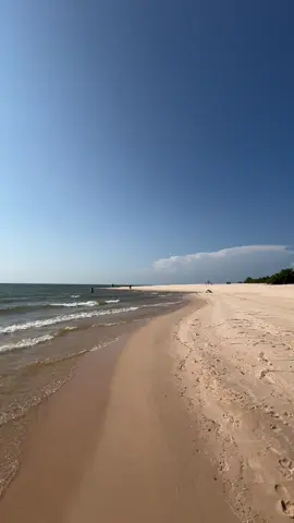 A Praia de Cajutuba, em Belterra, no Pará, é um destino ideal para quem busca tranquilidade e a beleza exuberante da Amazônia. Diferente das praias de mar, ela está localizada às margens do majestoso Rio Tapajós. A paisagem é formada por extensões de areia branquinha, que se unem à água doce, morna e calma do rio. A presença de dunas e uma vegetação densa ao redor garantem uma experiência única e preservada, longe da agitação de locais mais turísticos. É um refúgio perfeito para relaxar, tomar um refrescante banho de rio e aproveitar a culinária local, baseada nos peixes da região. #pedacinhodeparaisocajutuba♥️ #praiacajutuba #belterrapará #santarempará 