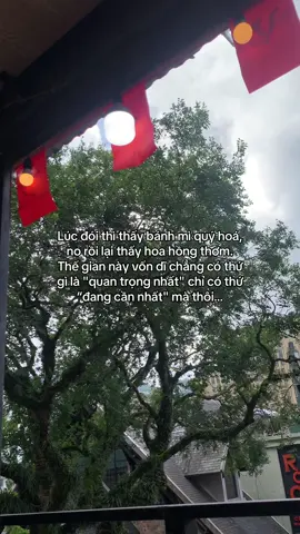 …#tamtrang #story 