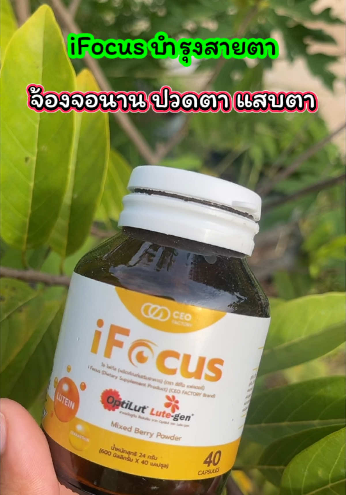 อาหารเสริมบำรุงสายตา #อาหารเสริมบํารุงสายตา #บํารุงสายตา #ดวงตา #จ้องจอนาน #แสบตา  @เจ้ฝนบอกพิกัด  @เจ้ฝนบอกพิกัด  @เจ้ฝนบอกพิกัด  