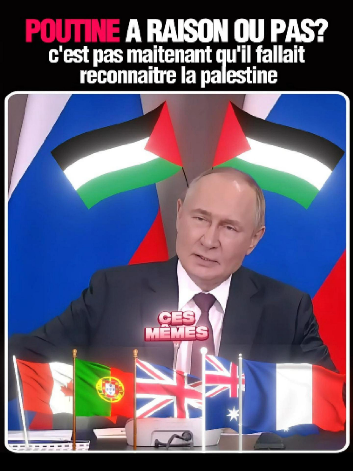 Poutine réagit à la reconnaissance de la Palestine par certains pays occidentaux 🌍🔥 Une réponse directe qui dénonce l’hypocrisie et défend les droits du peuple palestinien. 🇵🇸⚖️ Hashtags : #Poutine #GazaUnderAttack #geopolitique #freepalestine #actualité