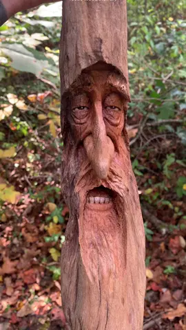 My newest wood carving sculpture is called, “I Drank Both Friday and Saturday, and I’m Drinking Again Today” 🤣 #woodcarving#rusticwood#woodart#driftwood#artistsoftiktok 