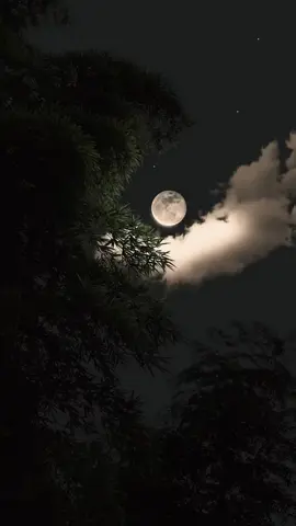 Repost Request ❤️🙌  #drisrarahmad #foryoupage❤️❤️ #viralvideos #viral 