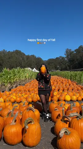 happy fall 🍂🍁  #firstdayoffall #fall #autumnaesthetic #bermonths #fallvibes 