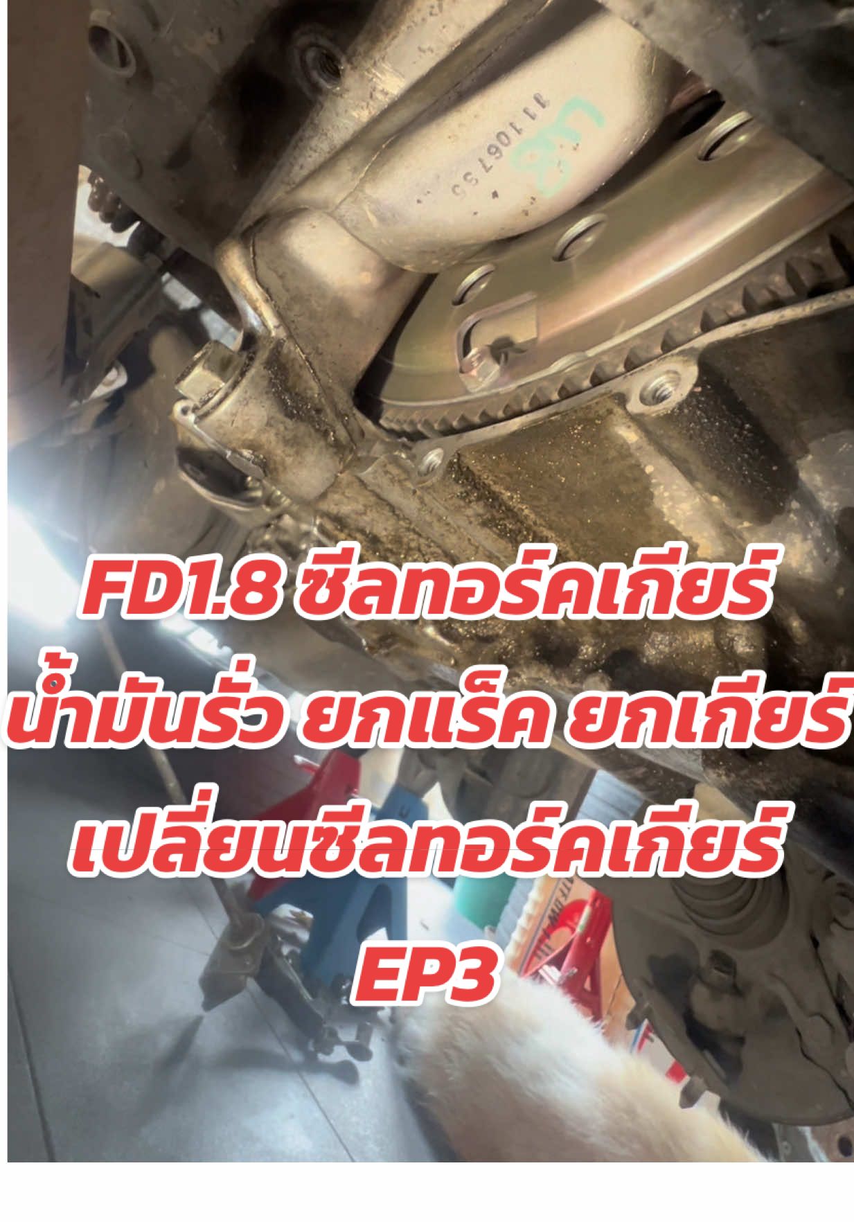 FD1.8 ซีลทอร์คเกียร์ น้ำมันรั่ว ยกแร็ค ยกเกียร์ เปลี่ยนซีลทอร์คเกียร์ EP3 #hondacivic #civicfd #fd  #tikpluakdaeng 