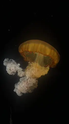 favourite place on earth <<333