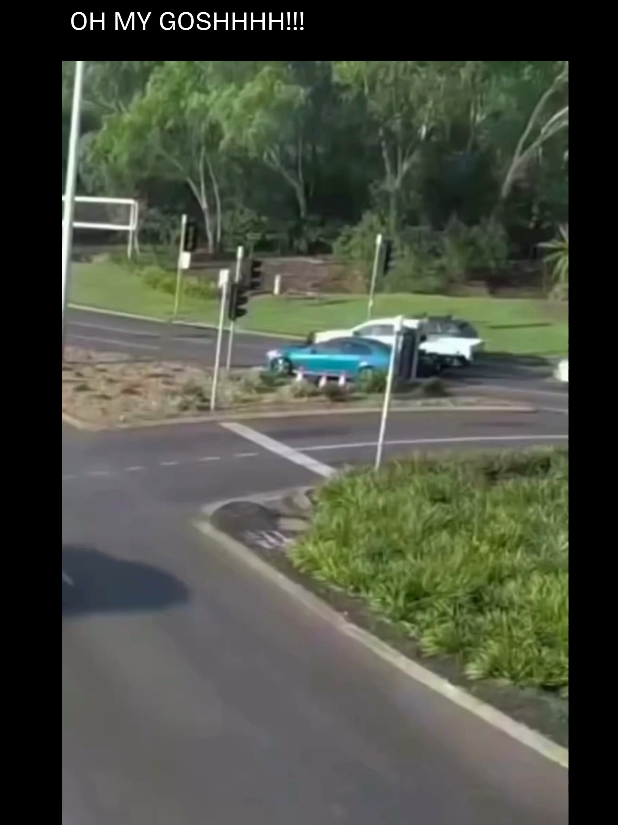 oh my goshhhh!!! #accident#danger #dog #drivesafely #fyp