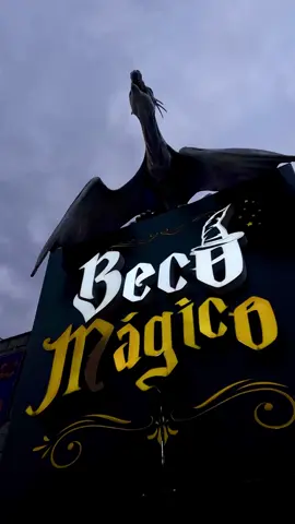 Experiência incrível no Beco mágico Goiânia🪄🦉🤎 #harrypotter #goiania #becomagico #fyp #goianiaindica 