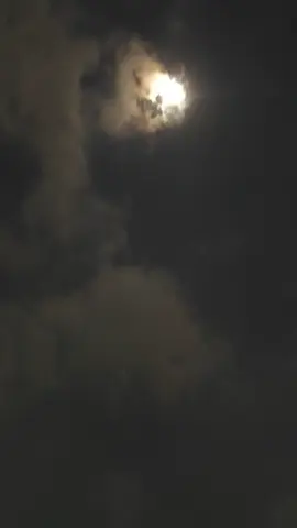 Mugo Kasembadan #lagujawa #tembangjawa #pujaningsih #nikensalindry 