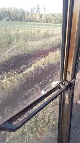 Vähän tainnu sattaa #masseyferguson365 #masseyferguson 