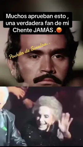 Ustedes que opinam ? Yo no estoy de acuerdo 😡 #cuquitainfiel #vicentefeenandez #senoradetal #fy #parati 