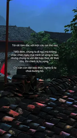 Mỗi buổi tối, ta khép mắt lại trong sự bất định của cuộc đời. Thế nhưng việc ta vẫn đặt báo thức cho sáng mai chính là một lời hứa thầm lặng rằng ta sẽ quay lại, sẽ tiếp tục bước đi, dù chẳng ai biết ngày mai sẽ thế nào. Và đôi khi, chính sự hy vọng nhỏ bé ấy lại là thứ chữa lành ta nhiều hơn bất cứ điều gì🍃  #fyp #fypシ゚ #foryou #nguoibinhthuong 